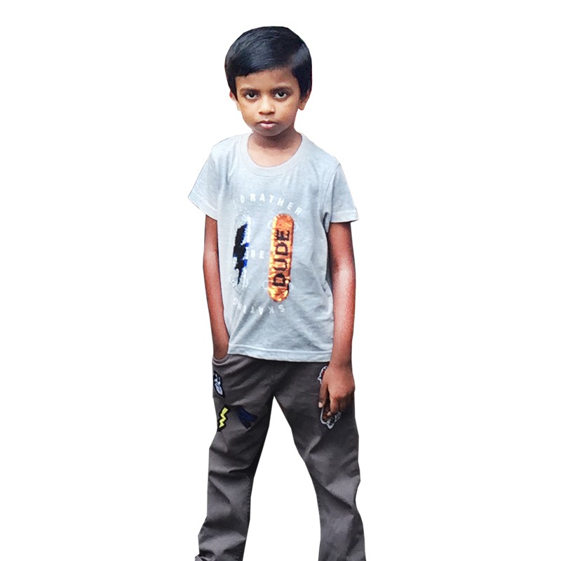 Boys Regular Fit Printed Casual T-Shirt