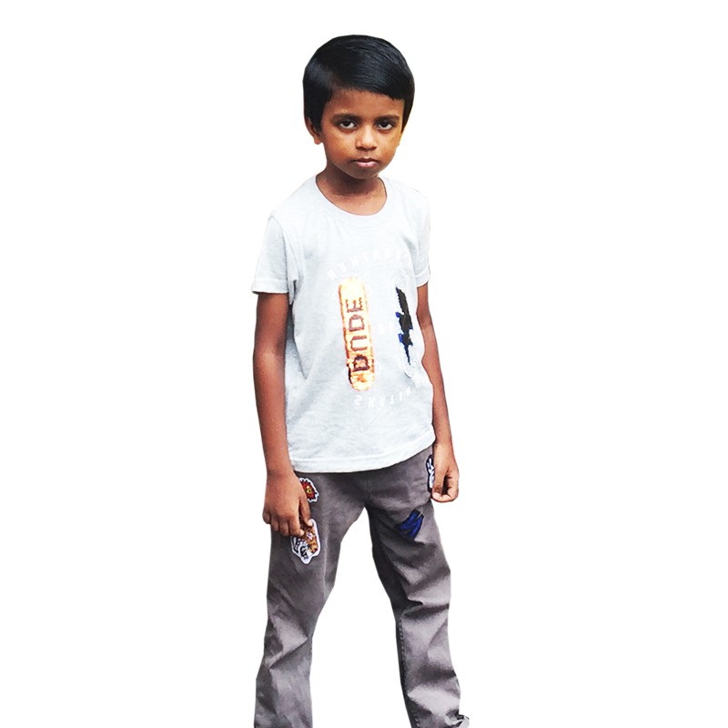 Boys Regular Fit Printed Casual T-Shirt